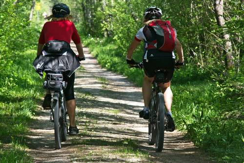 Mountainbikefahrende im Wald
