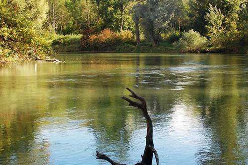 Rheinauen in Rastatt