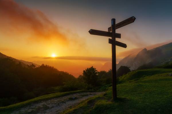 Quelle: iStock/Mimadeo Sonnenaufgang oder -untergang mit leichtem Nebel in den Bergen. Auf einer Wiese steht ein Wegweiser, der in verschiedene Richtungen zeigt.